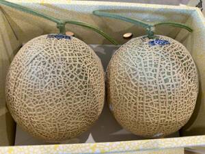  Kochi prefecture production greenhouse house high class mask melon large sphere 1 box 2 sphere 4. etc. class AA