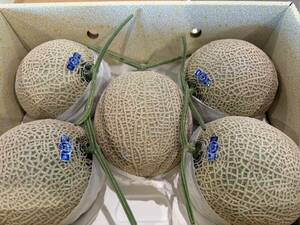 ① Kochi prefecture production greenhouse house high class mask melon large sphere 1 box 5 sphere approximately 9.2. rom and rear (before and after) etc. class AA