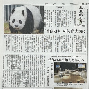 ☆【旦旦的廿年 タンタンの20ねん No.36～最高齢】2023年4月7日 神戸新聞 記事 ☆／ジャイアントパンダ・神戸市立王子動物園