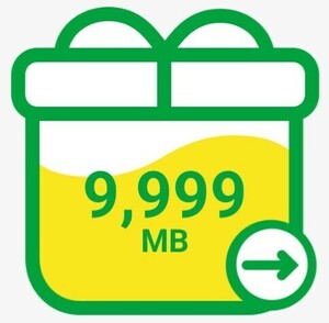 mineo パケットギフト 約10GB (9,999MB) 即日対応2