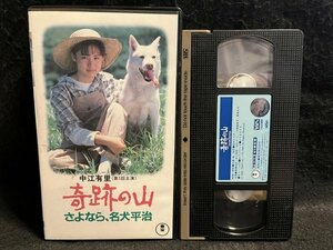 VHS●中江有里主演『奇跡の山 さよなら名犬平治』水島総監督 渡瀬恒彦 鳥丸せつこ 久野綾希子 菅原文太 坂井ひろ子原作●東宝●ビデオ