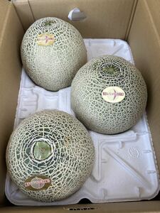  postage included reference sugar times 17 times Kumamoto production Lennon melon 4L 3 sphere 5/24 shipping expectation home use box included 5 kilo 