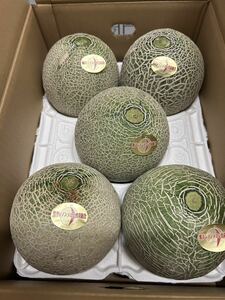  postage included reference sugar times 17 times Kumamoto production Lennon melon 2L 5 sphere 5/22 shipping expectation home use box included 6 kilo 