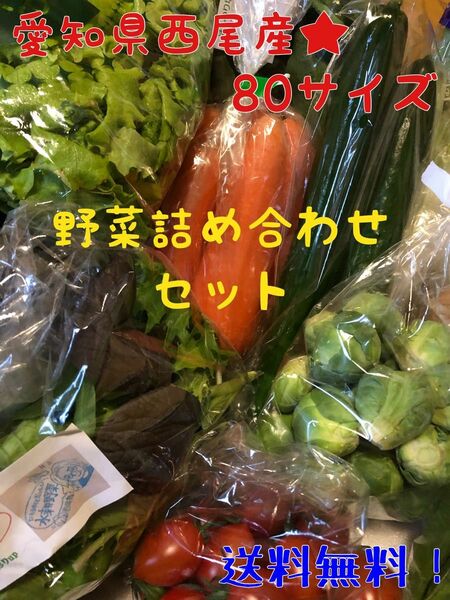 5月5日発送　愛知県西尾市産　野菜の詰め合わせ　80サイズ