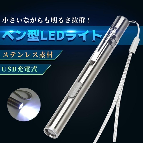 極眩 小型 ペン型 LED ライト コンパクト ステンレス 明るい ＵＳＢ 充電 懐中電灯 作業灯 警告灯 クリップ ストラップ