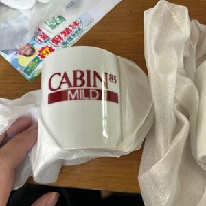  not for sale cabin 85 mug 2 piece set 