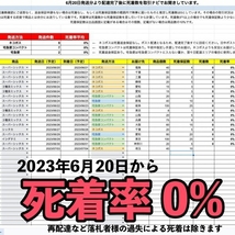 【各10匹 合計20匹】シッタカ貝×スーパーシッタカ貝　コケ取り貝セット　海水魚　生体_画像10