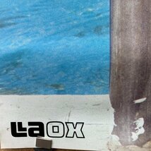 【B1カレンダー】キャティ 83CALENDAR 水着 ビキニ 販促用 LAOX NEBA ＜102×72.5cm＞☆_画像5