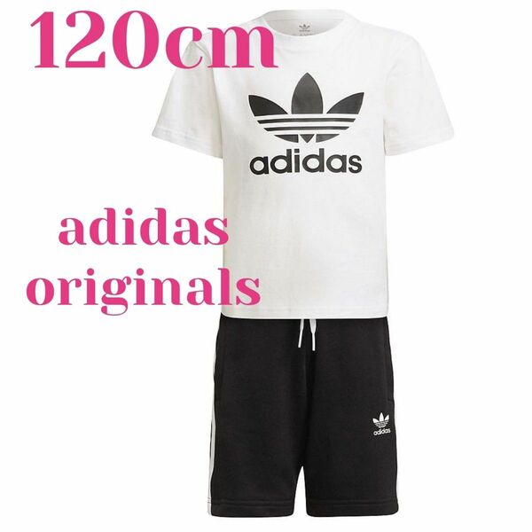 新品 adidas originals ショーツ&Tシャツ セットアップ120cm