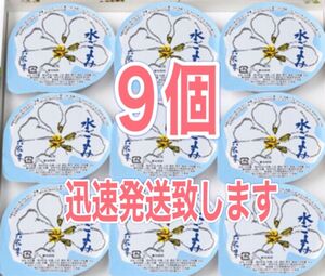 六花亭 水ごよみ 9個