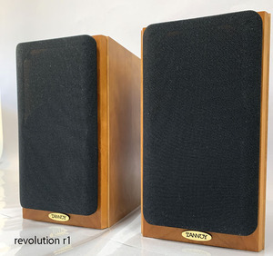 TANNOY Revolution R1