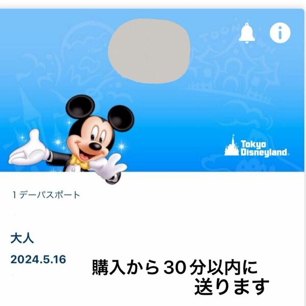 ディズニーランド オンライン ショッピング ドナルド 発売日 購入権利 1枚 