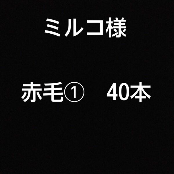 ミルコ様　40本