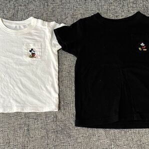 半袖Tシャツ 2枚セット