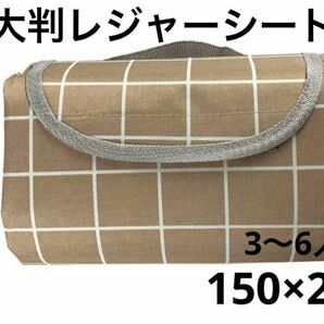 レジャーシート　大判　150×200㎝　アウトドア　3-6人用　チェック