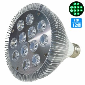 【新品即納】[緑12LED] 24W(2W×12) 電球 E26 口金 水槽 用 照明 植物育成 スポット ライト 12LED アクアリウム 電球 水草 サンゴ 熱帯魚