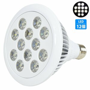 【新品即納】アクアリウム 電球 12 LED 白12 水槽 用 24W スポット ライト E26 口金 照明 交換 植物育成 水草 サンゴ 熱帯魚 照射角90度