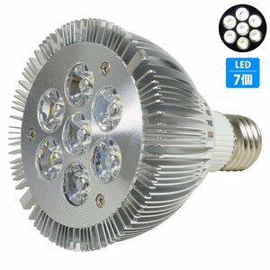 【新品即納】 水槽 用 スポット ライト 14W 電球 7LED 白7灯 口金 E26 アクアリウム 電球 照明 植物育成 水草 サンゴ 熱帯魚 観賞魚