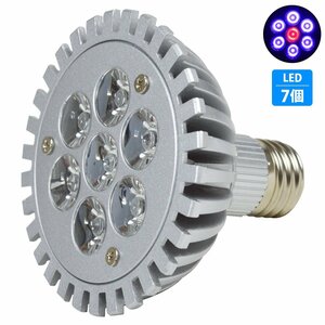 【新品即納】 7LED 青6/赤1 7W 口金 E26 水槽 用 スポット ライト 電球 アクアリウム 電球 照明 植物育成 水草 サンゴ 熱帯魚 観賞魚 LED