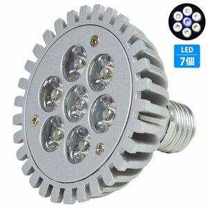 【新品即納】 7LED 白6青1 7W 口金 E26 水槽 用 スポット ライト 電球 アクアリウム 電球 照明 植物育成 水草 サンゴ 熱帯魚 観賞魚 LED