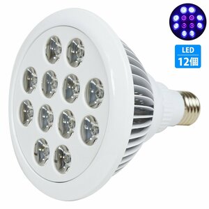 【新品即納】アクアリウム 電球 12 LED 青8/紫外線4 水槽 用 24W スポット ライト E26 照明 交換 植物育成 水草 サンゴ 熱帯魚 照射角90度