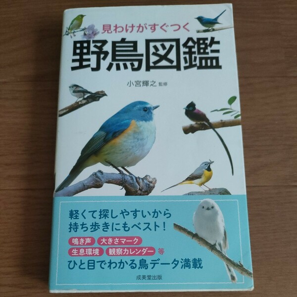 ★送料無料 即決♪ E　見わけがすぐつく野鳥図鑑 小宮輝之／監修　vv⑤