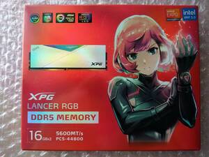 ADATA XPG LANCER RGB PC5-44800/DDR5-5600、16GB×2枚=計32GB分、288pin