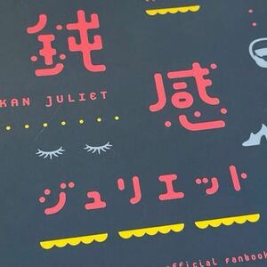 【同人誌】名探偵コナン 新刊 安コ 降新 スパーク インテ コミケ スパコミ 春コミ 秘密の裏稼業 安室透 工藤新一 CHUCHU party くらげ