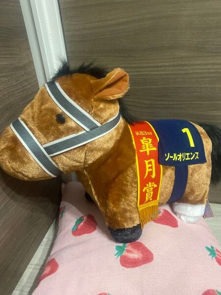 ソールオリエンス ビッグぬいぐるみ