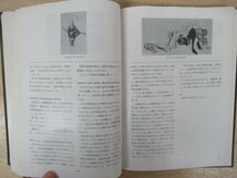 ◇K7505 書籍「SEXLOGY/セクソロジー(性科学)辞典」1974年 石浜淳美 性科学 産婦人科学 新宿書房_画像6