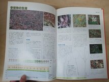 ◇K7520 書籍「【非売品】四季の植物 袖ヶ浦カントリークラブ」昭和55年 千葉県_画像8