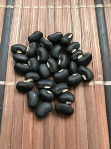 アンコにすると黒くてキレイ　黒小豆の種　30粒♪♪