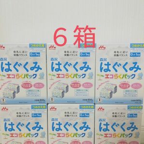 森永 はぐくみ エコらくパックつめかえ用 800g ×6箱