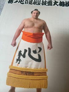 栃ノ心　引退　断髪式取り組み表