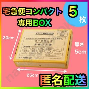 宅急便コンパクト 専用box 箱型 5枚 MT-20240513