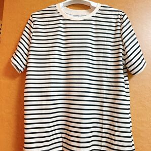 【着画あり】新品　レディース　トップス　綺麗めTシャツ　Tシャツ　半袖　ストライプ　大人可愛い