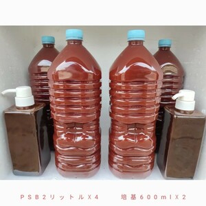 PSB光合成細菌8リットルと培養液(培基)1200ml