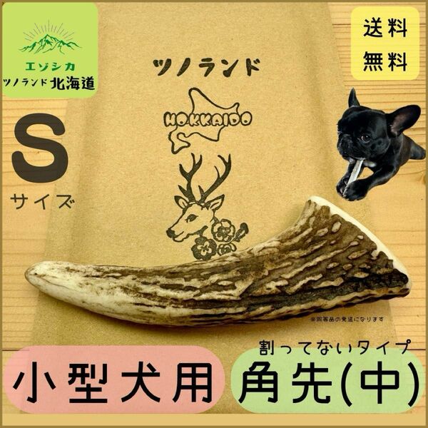 ◯鹿の角◯Sサイズ角先中×1本◯犬のおもちゃ◯小型犬用◯