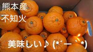 ★☆☆熊本産　☆不知火　箱込み10キロ　訳あり　デコ ☆☆★