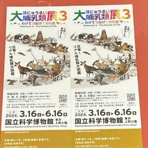 国立科学博物館 特別展 大哺乳類展3大人2枚セット チケット ペア　通常4,200円　 招待券　観覧券 上野公園