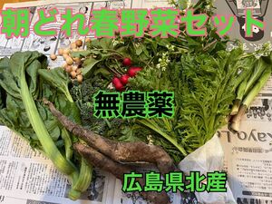 無農薬採れたて野菜セット　大口サイズ