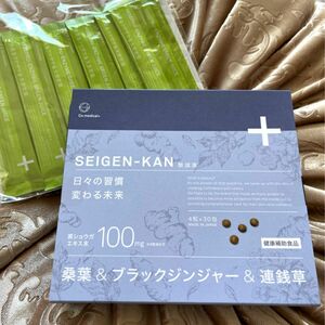 〜シーオーメディカル CO SEIGEN-KAN 整減漢〜30包