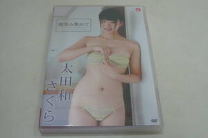 * Oota мир Sakura DVD[ мельчайший смех . сборник ..]*