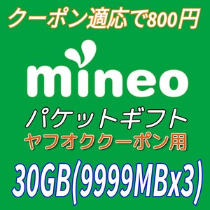 【mineo】パケットギフト 30GB 【マイネオ】