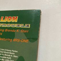 a レア盤 MAD LION DOUBLE TROUBLE The Remixes KRS-ONE and Brenda.Starr HIPHOP R&B RAP ヒップホップ ラップ ブレイクダンス_画像9