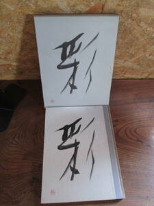 Art hand Auction C (Не для продажи) Иродори / 1986 / Спланировано и опубликовано Shiseido., искусство, Развлечение, Фотоальбом, Художественная Фотография