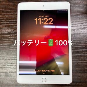 iPad mini5 ゴールド Wi-Fiモデル【バッテリー100%】