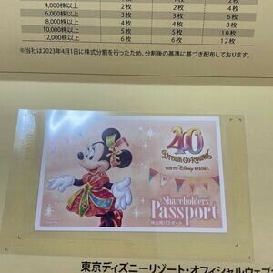☆東京ディズニーランドまたは東京ディズニーシーで 使用できる株主優待1dayパスポート１枚　送料無料☆