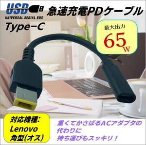 レノボ Lenovo 専用PD変換ケーブル TypeC(メス) → 角型コネクタ(オス) ACアダプタを使わないでノートパソコンを急速充電 UCLE015-