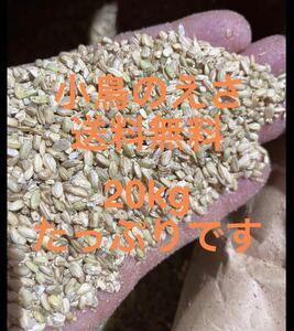 限定　^_^ 令和5年度産　コシヒカリ　くず米　砕米　20kg 鳥エサ用　えさ　小粒米qs